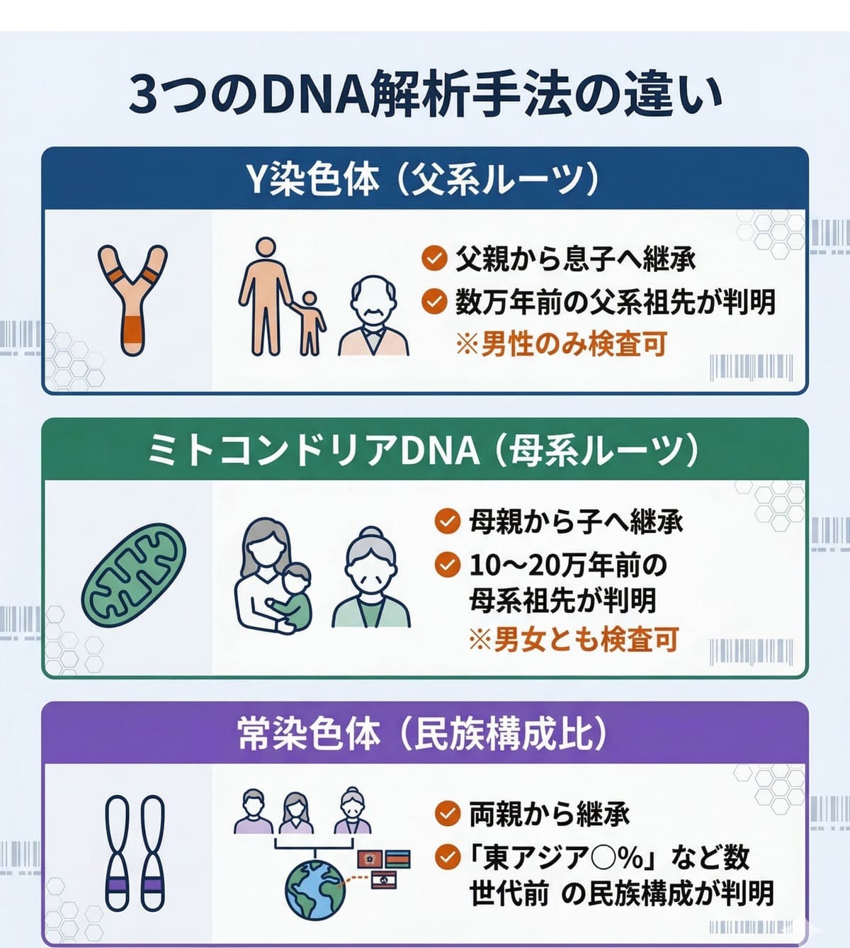 Y染色体、ミトコンドリアDNA、常染色体の3つのDNA解析手法の違い。父系ルーツ、母系ルーツ、民族構成比のどれが分かるかを図解