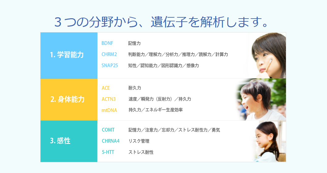 GIQ子ども能力遺伝子検査の公式サイトに掲載されている分析内容